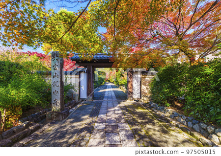 Daiunzan Ryoanji temple gate autumn leaves season Daiunzan Ryoanji temple gate autumn leaves season 97505015
