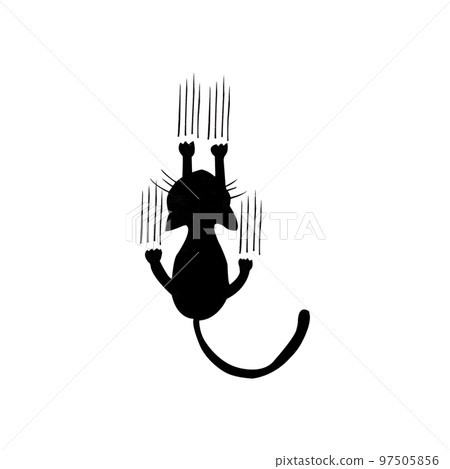 Black cat's silhouette. Black cat's silhouette. 97505856