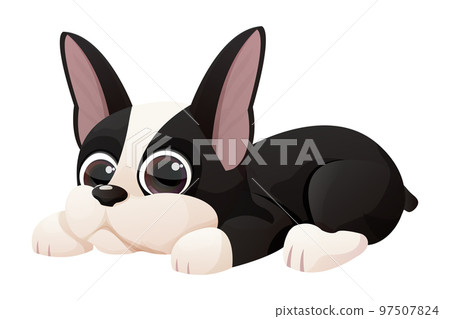 Cute Boston terrier cool sweet puppy lying in cartoon style isolated on white background. Cute dog, print design Cute Boston terrier cool sweet puppy lying in cartoon style isolated on white background. Cute dog, print design 97507824