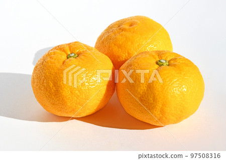 Yuzu (Yuzu) 97508316