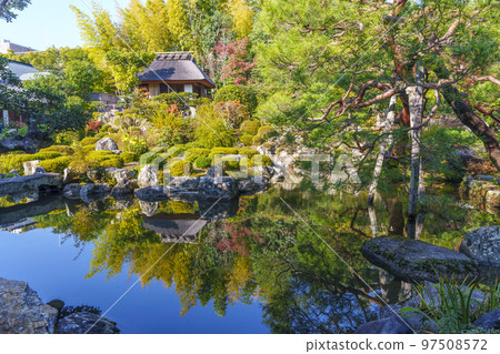 Kyoto Tojiin Beautiful Japanese garden Fuyōike (West garden) Autumn leaves season 97508572