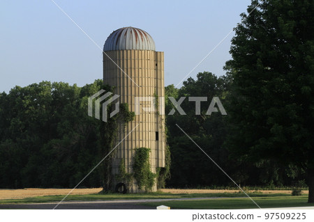 Kansas Country Silo with green tree's and vine's on the silo on a farm out in the country. Kansas Country Silo with green tree's and vine's on the silo on a farm out in the country. 97509225