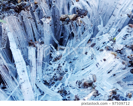 Close-up of the frost column lifting the soil 97509712