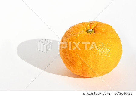 Yuzu (Yuzu) Yuzu (Yuzu) 97509732