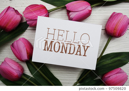 Hello Monday card with tulip flower on wooden background 97509820
