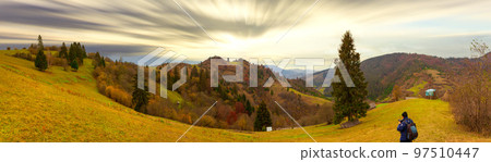 Carpathians, Ukraine. A wonderful forest glade with flowers in the cool shade of trees on a hot summer evening. 97510447