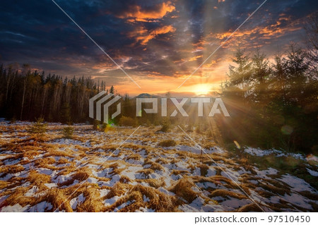Mountain forest landscape in the morning with fog in the summer season. National park in the Carpathian mountains with fog and humidity. Ukraine. 97510450