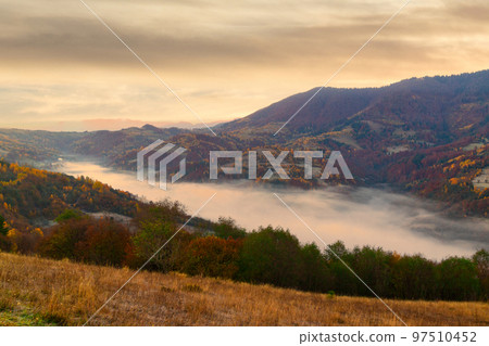 Ukraine. Warm autumn in the Carpathians. Very beautiful picturesque, beech, birch and pine forests on the slopes of the Synevyr Mountains glow with bright colors against the backdrop of sunset. 97510452