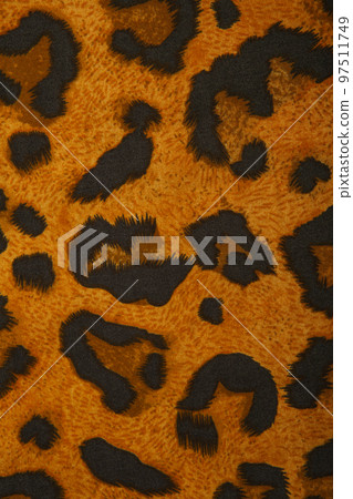 image of leopard textile background image of leopard textile background 97511749