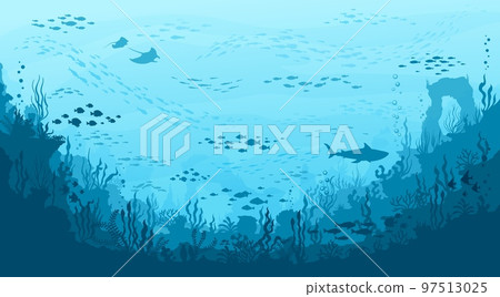 Underwater landscape. Manta and shark, seaweeds and corals, fish shoal silhouettes on ocean bottom. Vector background with sea vegetation and animals. Water life, Aquatic biodiversity, marine life Underwater landscape. Manta and shark, seaweeds and corals, fish shoal silhouettes on ocean bottom. Vector background with sea vegetation and animals. Water life, Aquatic biodiversity, marine life 97513025