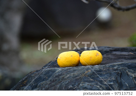 柚子 97513752