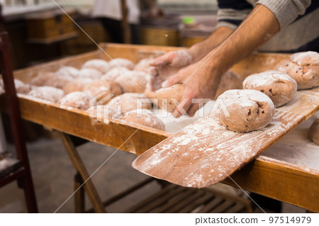 wheat dough shaped into loaves arranged in rows on the table before baking 97514979