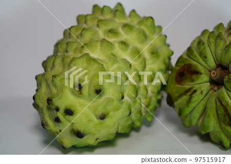 鳳梨釋迦 97515917