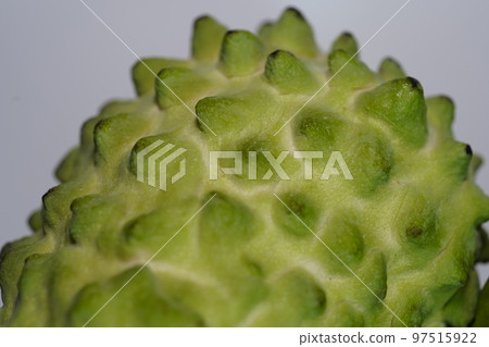 鳳梨釋迦 97515922