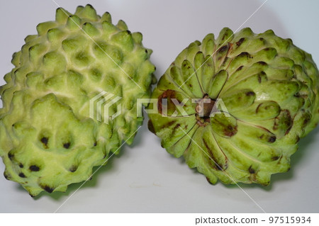 鳳梨釋迦 97515934