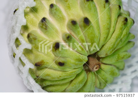 鳳梨釋迦 97515937