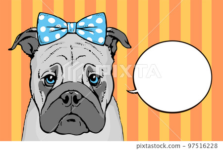 Pop art drawn portrait of pug dog face Pop art drawn portrait of pug dog face 97516228