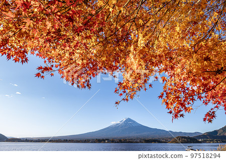 山梨縣秋天的河口湖,紅葉與富士山形成鮮明對比 山梨縣秋天的河口湖,紅葉與富士山形成鮮明對比 97518294