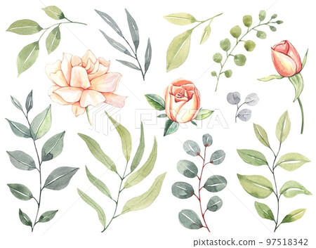 Set with green leaves and rosebuds, watercolor collection Set with green leaves and rosebuds, watercolor collection 97518342