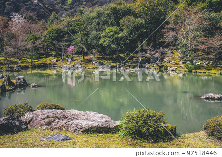 a Japanese garden at Tenryuji Temple in Arashiyama, Kyoto, Japan. a Japanese garden at Tenryuji Temple in Arashiyama, Kyoto, Japan. 97518446