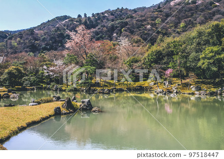 a Japanese garden at Tenryuji Temple in Arashiyama, Kyoto, Japan. a Japanese garden at Tenryuji Temple in Arashiyama, Kyoto, Japan. 97518447