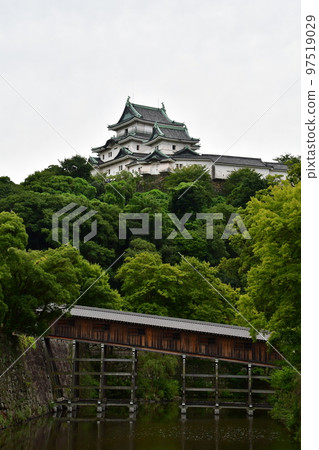 Wakayama Castle 094 97519029