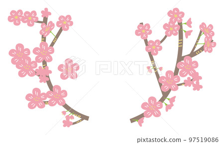櫻花樹枝插畫素材-插圖素材 [97519086] - PIXTA圖庫