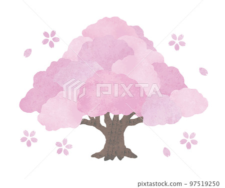 Large cherry tree watercolor 2 Large cherry tree watercolor 2 97519250
