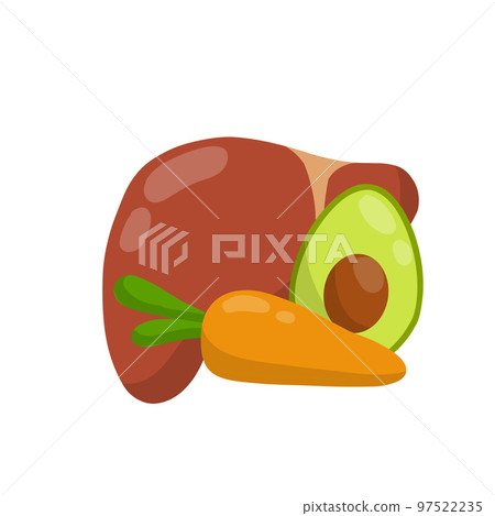 Healthy liver. Human organ. Good nutrition and diet. Cartoon flat illustration. Healthy Vegetables and fruits - carrots and avocados Healthy liver. Human organ. Good nutrition and diet. Cartoon flat illustration. Healthy Vegetables and fruits - carrots and avocados 97522235