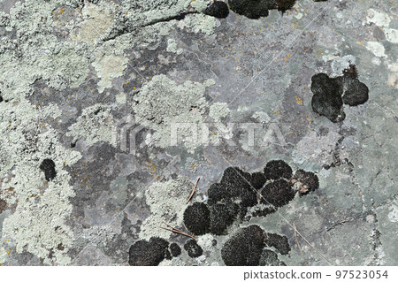 Stone with lichen and moss, background texture Stone with lichen and moss, background texture 97523054