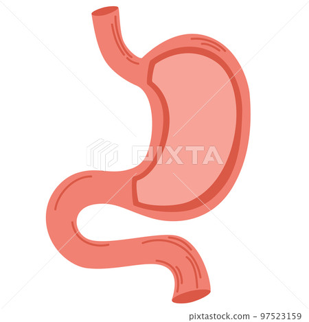 Human stomach. Healthcare medical center, surgery, hospital, clinic, diagnostic logo. Internal organ symbol poster design. Vector isolated illustration of stomach anatomy in cut. Human stomach. Healthcare medical center, surgery, hospital, clinic, diagnostic logo. Internal organ symbol poster design. Vector isolated illustration of stomach anatomy in cut. 97523159