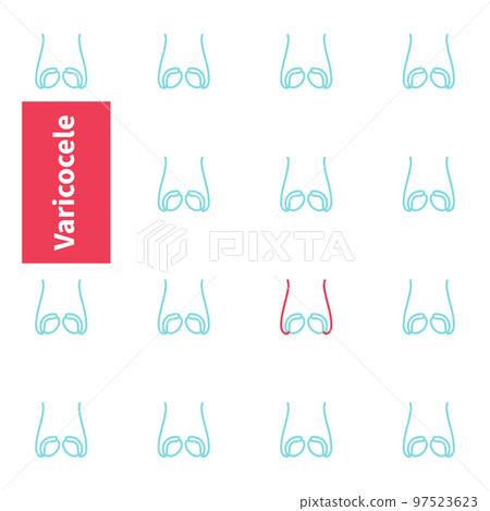 Testicles anatomy medical diagram Testicles anatomy medical diagram 97523623