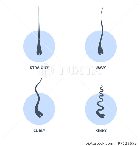 Hair types chart set of strands growth patterns 97523652