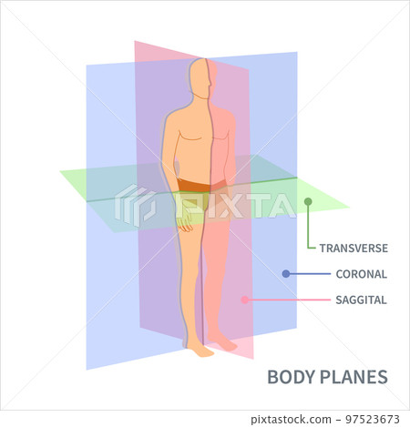 Scanning planes for body orientation position diagram 97523673