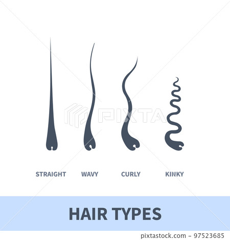 Detailed hair types chart set of strands growth Detailed hair types chart set of strands growth 97523685