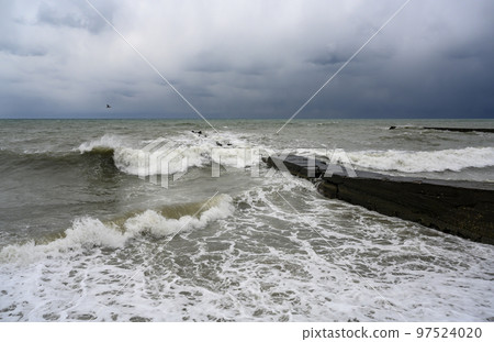 An old breakwater and a seagull on the Black Sea in winter in stormy weather An old breakwater and a seagull on the Black Sea in winter in stormy weather 97524020