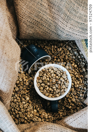 Green coffee grain in a burlap sack Green coffee grain in a burlap sack 97524709