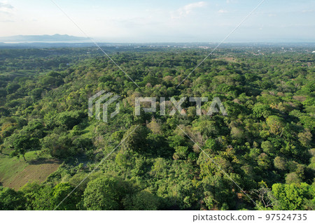 Green jungle rainforest on Managua background 97524735