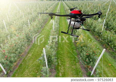 Drone sprayer flies over apple trees Drone sprayer flies over apple trees 97526063