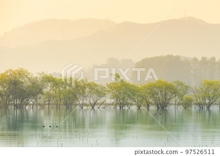 朱岩池 朱岩池 97526511