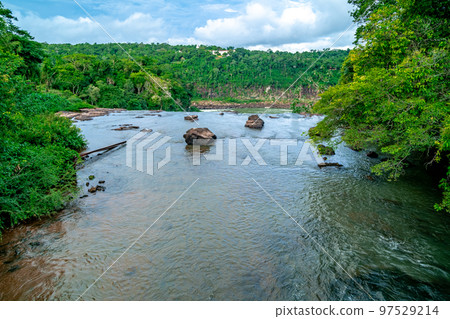 nature, river and plants around Iguazu Falls 97529214