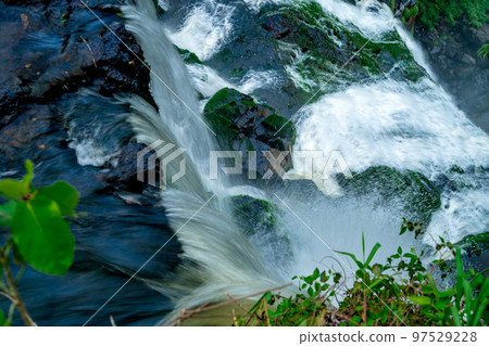 nature, river and plants around Iguazu Falls 97529228
