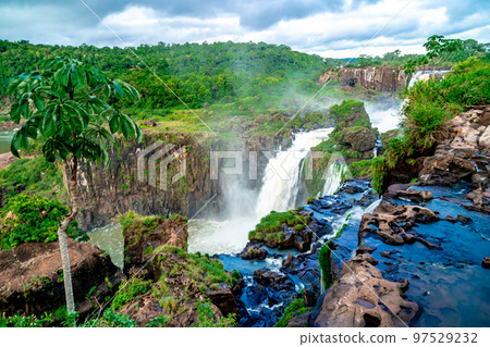 nature, river and plants around Iguazu Falls 97529232
