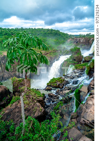 nature, river and plants around Iguazu Falls 97529234