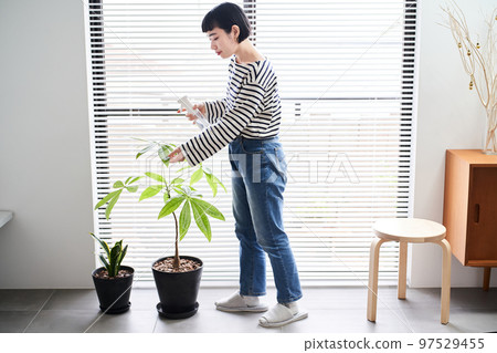 在房間裡照顧室內植物的年輕女人 97529455