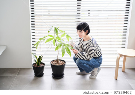 在房間裡照顧室內植物的年輕女人 97529462
