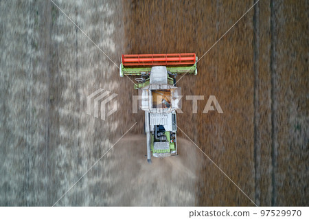 Aerial view of combine harvester working during harvesting season on large ripe wheat field. Agriculture concept 97529970