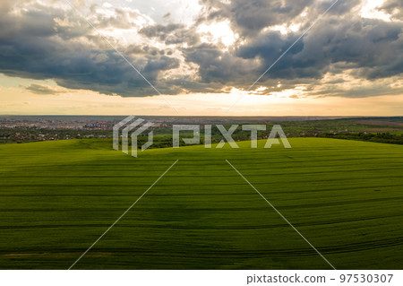 Aerial landscape view of green cultivated agricultural fields with growing crops on bright summer evening. 97530307