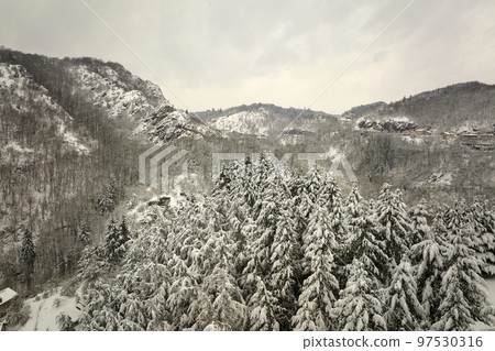 Aerial foggy landscape with evergreen pine trees covered with fresh fallen snow during heavy snowfall in winter mountain forest on cold quiet day 97530316