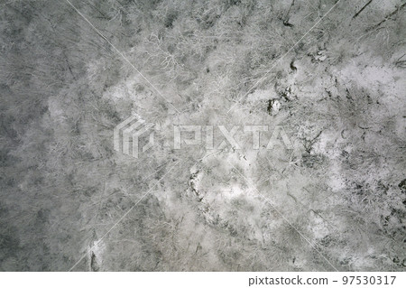 Aerial foggy landscape with evergreen pine trees covered with fresh fallen snow during heavy snowfall in winter mountain forest on cold quiet day Aerial foggy landscape with evergreen pine trees covered with fresh fallen snow during heavy snowfall in winter mountain forest on cold quiet day 97530317